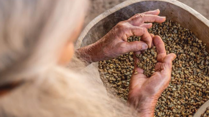 Honduras Cafe de Mujeres Detail