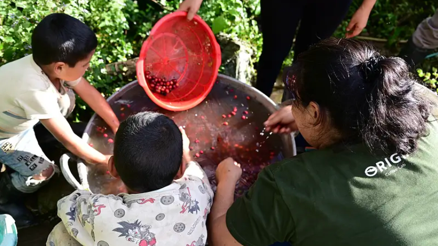 La Huaca Washing Process